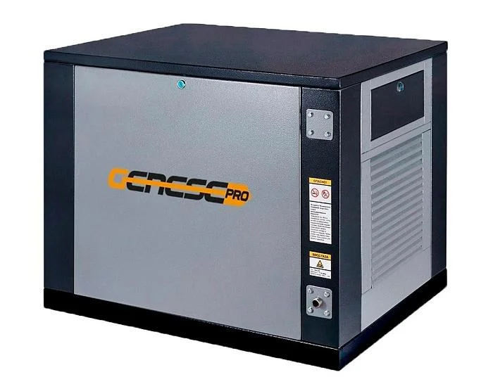 Genese Standard 6250 Neva в кожухе (220 В)